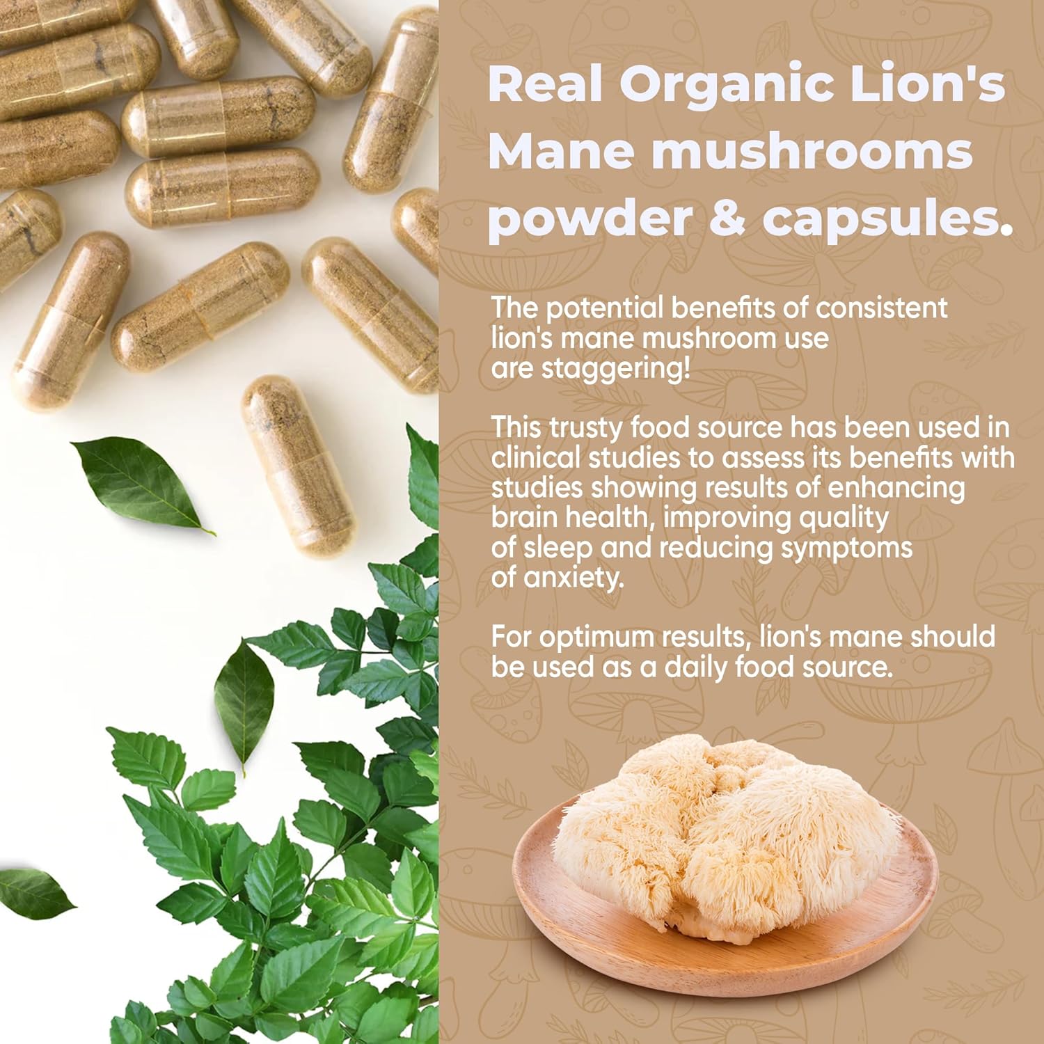Lion's Mane Mushroom