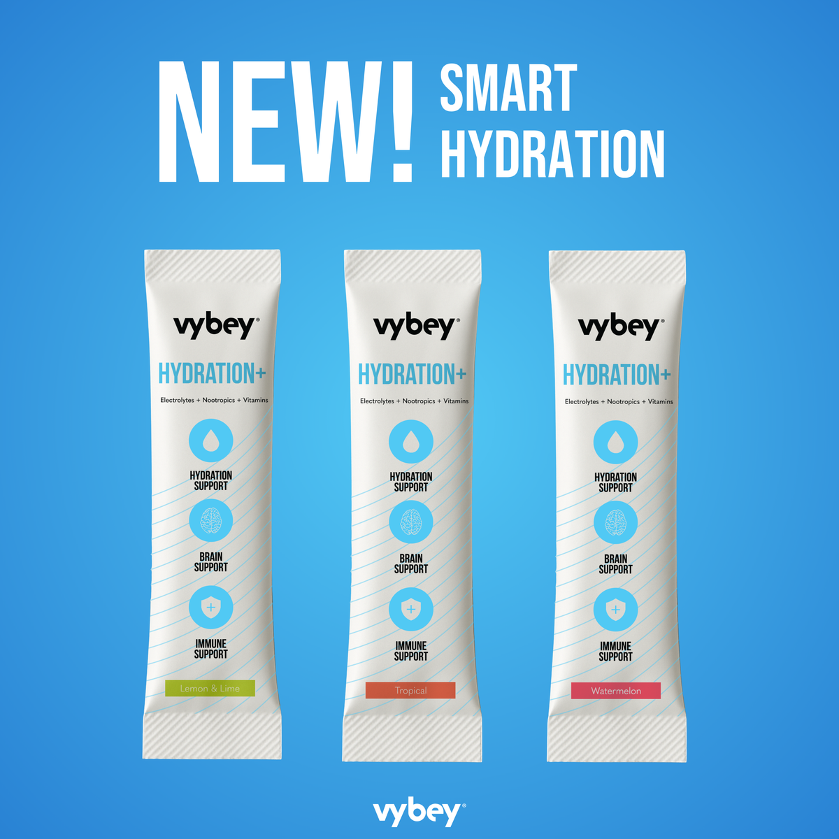 vybey Smart Hydration+ | Electrolytes + Nootropics + Prebiotics – vybey ...