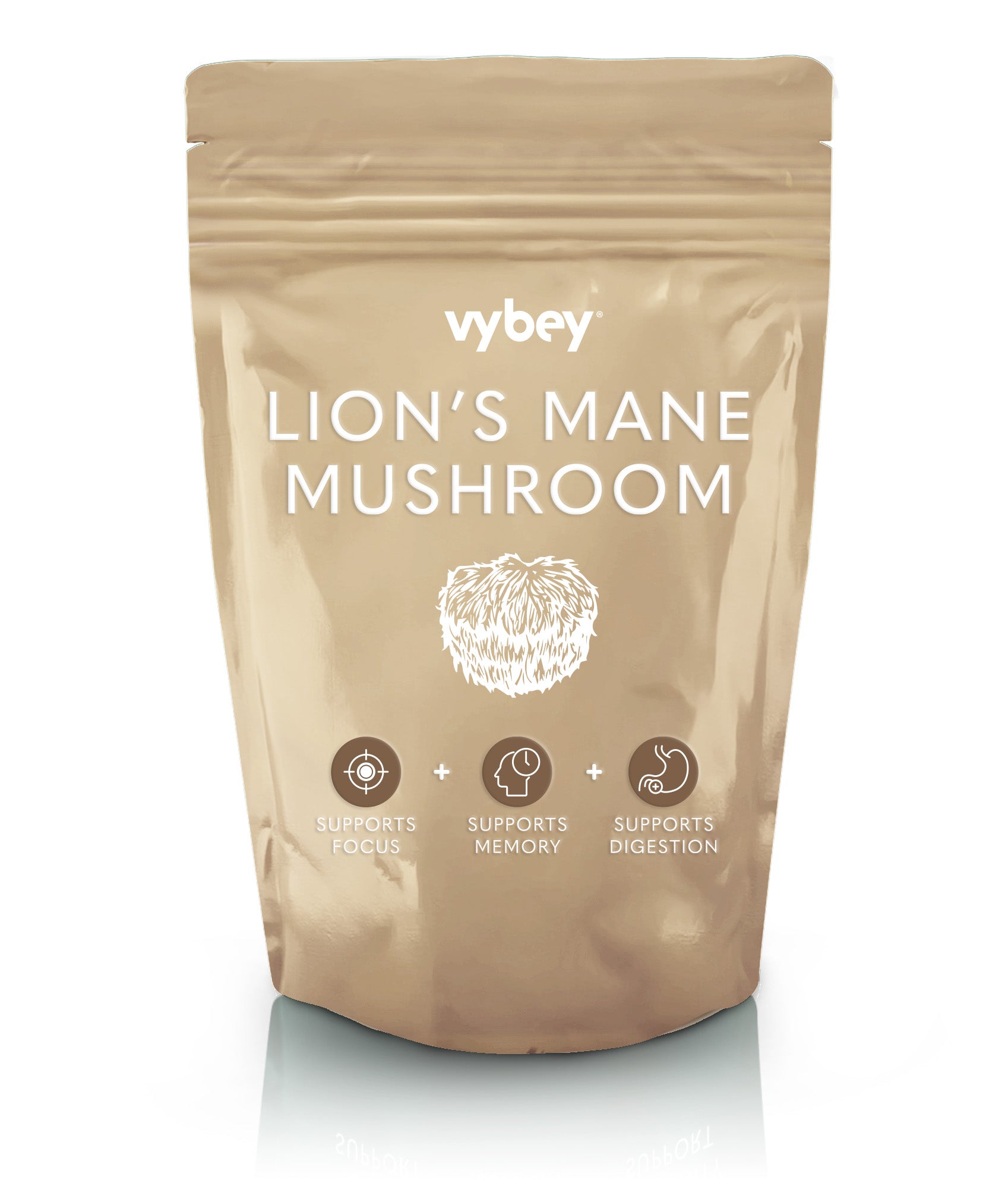 Lion's Mane Mushroom