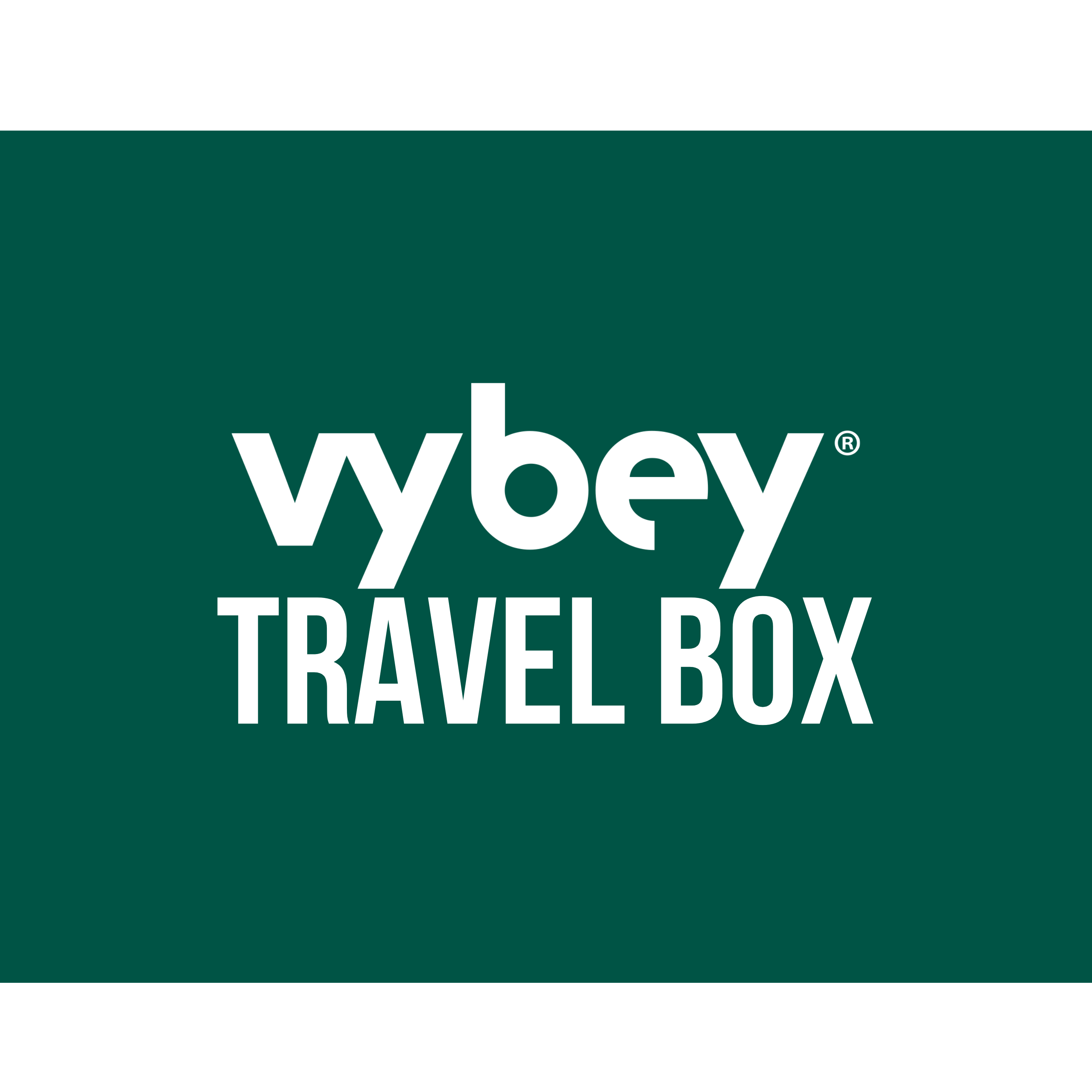 vybey Travel Pack Box - Free Gift